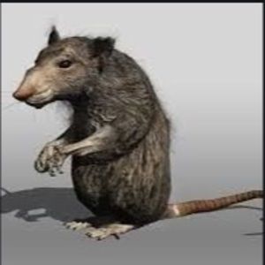 Meet your Posher, Imat